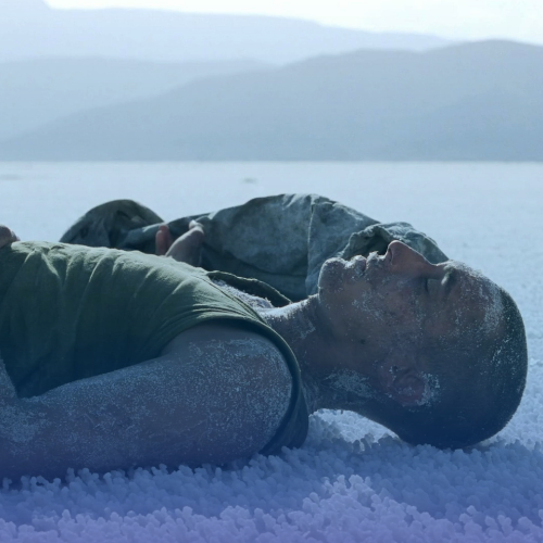 “Eu me reconheço em um cinema que confia na narração plástica”: entrevista com Claire Denis, por Jean-Marc Lalanne e Jerôme Larcher